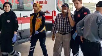 Alkollü Genç, Bahçıvanı Darp Etti