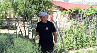 İstanbul'dan Çankırı'ya: 70 Yaşındaki Emeklinin Doğa ile Buluşma Hikayesi