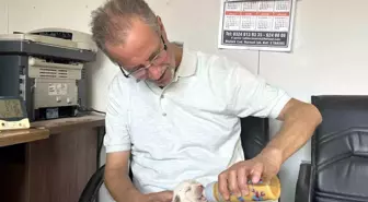 Tarsus'ta Çatalburun Köpeği 13 Yavru Dünyaya Getirdi