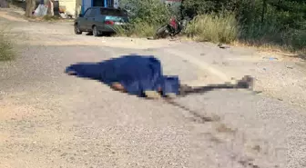 Eskişehir'de Motosiklet Kazası: Sürücü Hayatını Kaybetti