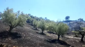 Manisa'da Yangın Riski Kontrol Altına Alındı