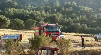 Uşak'taki yangın kontrol altına alındı