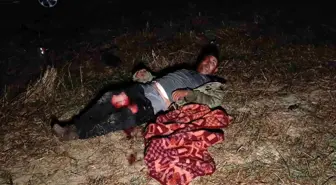 Manavgat'ta Aslan Saldırısı Sonrası Hayvanat Bahçesine Denetim Başlatıldı