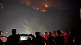 Bilecik'teki Orman Yangını Kontrol Altına Alındı