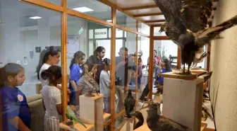 Düzce Gençlik Merkezi Yaz Kulübü Öğrencileri Doğa ile Buluştu
