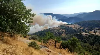 Bursa ve Balıkesir Sınırında Orman Yangınına Müdahale Devam Ediyor