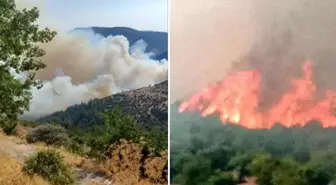 Bursa-Balıkesir sınırında orman yangını! Bir mahalle tahliye edildi