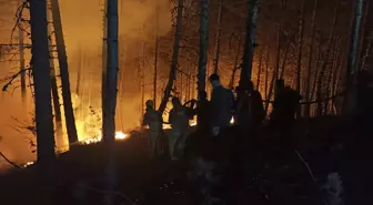 Çankırı'da Orman Yangını Kısmen Kontrol Altına Alındı
