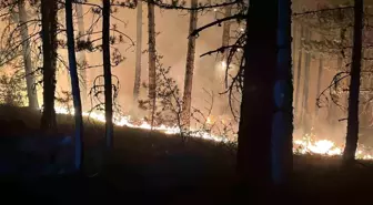 Çankırı'da Orman Yangınına Müdahale Devam Ediyor