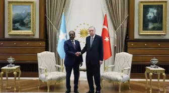 Cumhurbaşkanı Erdoğan, Somali Lideri Hasan Şeyh Mahmud ile Görüştü