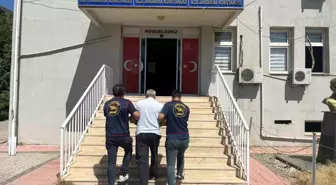 Diyarbakır'da Suçluların Yakalanmasına Yönelik Operasyon Düzenlendi