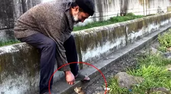 Samsun'da Farelerle Dostluğu Olan Şahıs Otobüs Durağında Ölü Bulundu