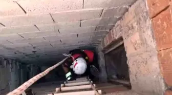 Şanlıurfa'da Yavru Kedi Havalandırma Boşluğundan Kurtarıldı