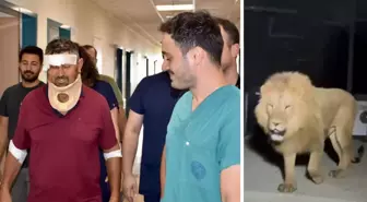 Aslan saldırısında yaralanan çiftçi Süleyman Kır: Aslana hakkımı helal ederim, bir suçu yok