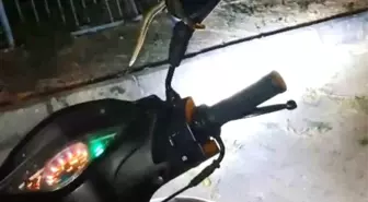 Kütahya'da Park Halindeki Motosiklette Yılan Paniği