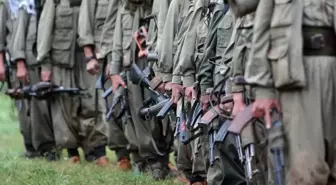 Silah bırakan PKK'lı gruptan açıklama: Silahlarımızı özgür irademizle imha ediyoruz