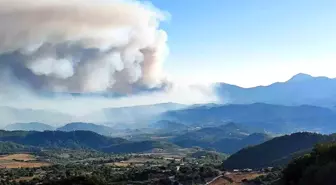 Suriye'deki Yangın Türkiye Sınırına Ulaştı