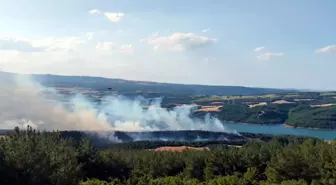 Şarköy'de Orman Yangınına Hava ve Kara Müdahalesi