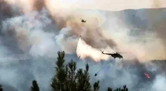 Tekirdağ'da Orman Yangınına Hava ve Kara Müdahale