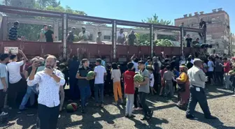Şanlıurfa'da Bedava Karpuz Dağıtımı İzdiham Yarattı