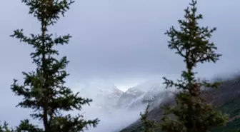 100 yıl sonra uyanıyor mu? Alaska'daki yanardağ harekete geçti