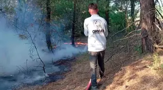 Amasya'da orman yangını! 10 dekarlık alan zarar gördü