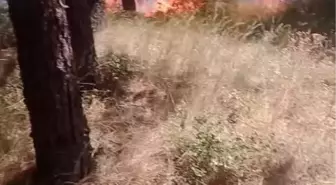 Aydos Ormanı'nda yangın-2 / Havadan görüntüler