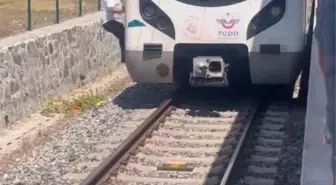 Makinist Yavru Kediyi Raylardan Kurtardı