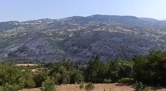 Balıkesir-Bursa Sınırında Yangınla Mücadele Devam Ediyor