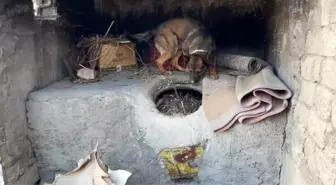 Batman'da Ekmek Tandırı İçinde Uyuşturucu Ele Geçirildi