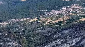 Bursa'dan Balıkesir'e Sıçrayan Yangında Soğutma Çalışmaları Başladı