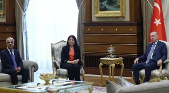 Erdoğan'dan sürece ilişkin net mesaj: AK Parti, MHP ve DEM olarak bu yolu beraber yürümeye karar verdik