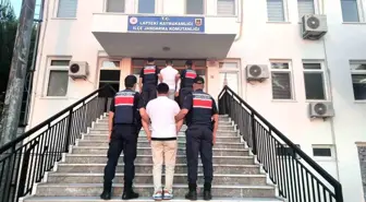 Çanakkale'de Sigara İzmariti Yangına Neden Oldu