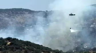 Muğla'da Ziraat Alanında Yangın Çıktı
