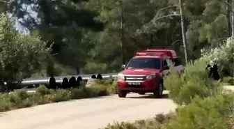 Muğla'da Orman Yangını Riski, Yetkililerden Uyarı ve Bilgilendirme