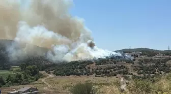 Muğla'da Tarım Arazisinde Yangın Çıktı