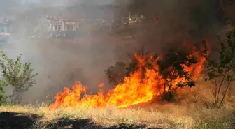 Muş'ta Çıkan Örtü Yangını Kontrol Altına Alındı