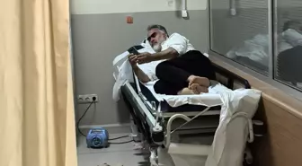 Yılanın Isırdığı Ahmet K. Hastaneye Kaldırıldı