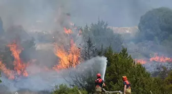 İzmir'de Orman Yangınlarında Rekor Kaybı: 26 Bin 260 Hektar Zarar Gördü