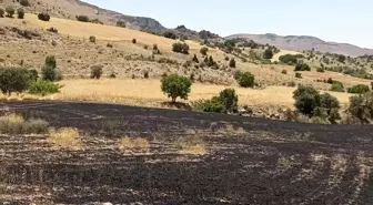 Tunceli'de Arazi Yangını: 34 Dönüm Arpa Tarlası Kül Oldu