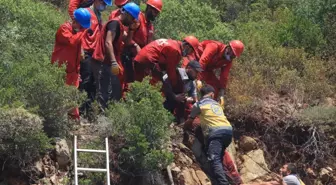 İHH Arama Kurtarma Ekipleri Orman Yangınlarına Destek Verdi