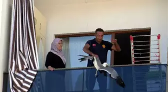 Erciş'te İpe Dolanan Martı İtfaiye Ekipleri Tarafından Kurtarıldı