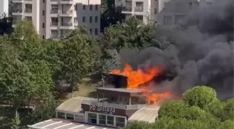 Ataşehir'de Balıkçı Restoranında Yangın Çıktı