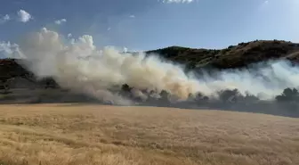 Bitlis'te Buğday Tarlasında Yangın Kontrol Altına Alındı