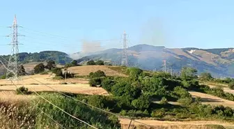Bursa'da Orman Yangını: Ekipler Havadan ve Karadan Mücadele Ediyor