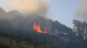 Bursa ve Yalova Sınırında Yangın Kontrol Altına Alındı
