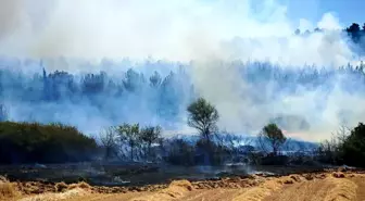 Keşan'da Orman Yangını Kontrol Altına Alındı