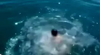 Giresun'da Yüzme Bilmeden Suya Atlayan Çocuk Kurtarıldı