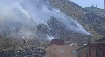 Hatay'da Orman Yangını