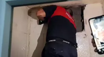 Havalandırma Boşluğunda Mahsur Kalan Yavru Kedi Kurtarıldı